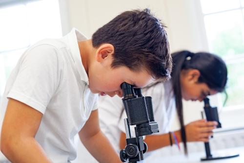 2 children looking through microscopes