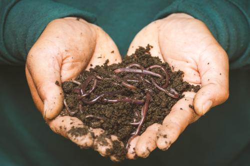 person holding a clump of soil with worms