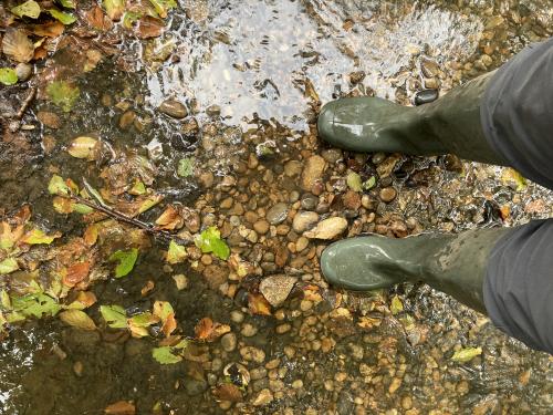 wellies in stream with pebbles