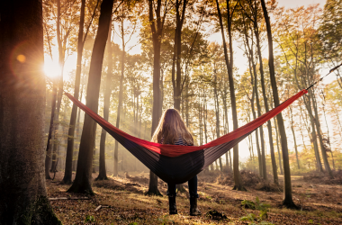 image of woman sitting in a hammock in the woods during sunrise/sunset