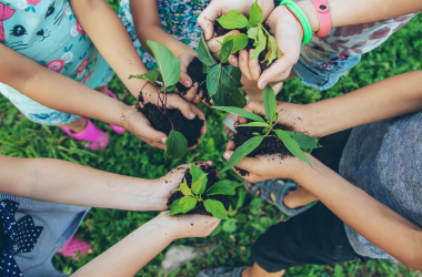 children holding plants in soil