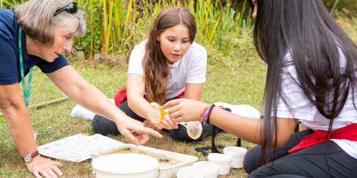 students pond dipping and pointing to white dipping tray 