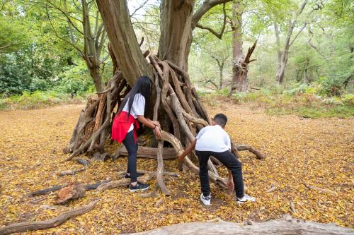 two children building a den in the forest using large sticks